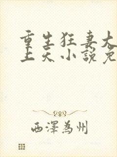 重生狂妻大佬宠上天小说免费听书 重生狂妻大佬宠上天小说免费听书