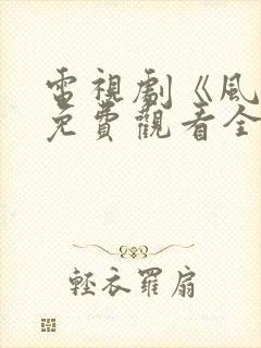 电视剧《风筝》免费观看全集高清