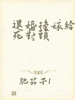 退婚后嫁给渣男死对头