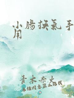 小肠换气手术费用