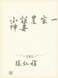 小说农家一品食神妻