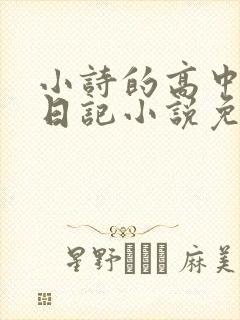 小诗的高中成长日记小说免费阅读