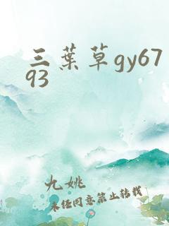 三叶草gy6793