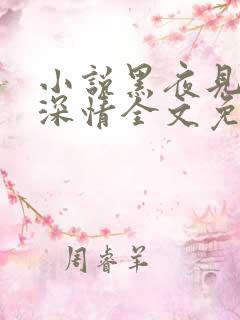 小说黑夜见过他深情全文免费阅读