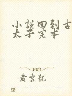 小说回到古代当太子完本