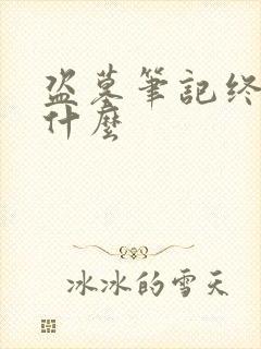 盗墓笔记终极是什么