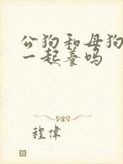 公狗和母狗可以一起养吗