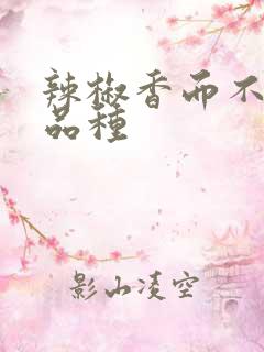 辣椒香而不辣的品种