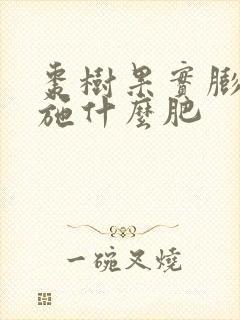 枣树果实膨大期施什么肥