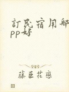 订民宿用哪个app好
