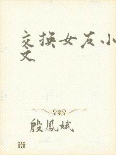 交换女友小说全文