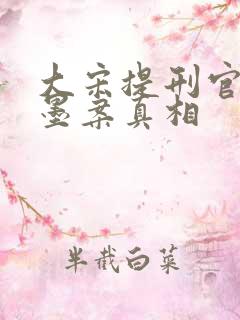 大宋提刑官2曹墨案真相 大宋提刑官2曹墨案真相