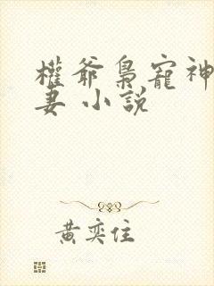 权爷枭宠神秘娇妻 小说
