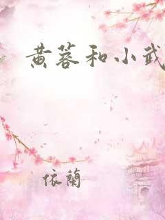 黄蓉和小武后传