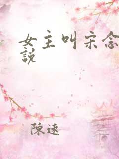 女主叫宋念的小说