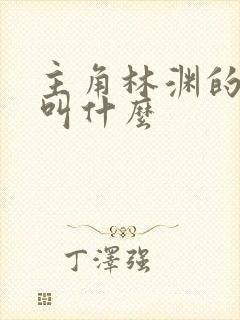 主角林渊的小说叫什么
