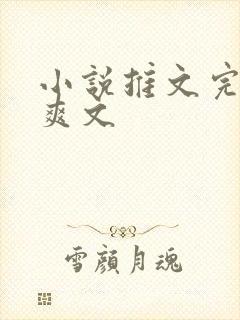 小说推文完结文爽文
