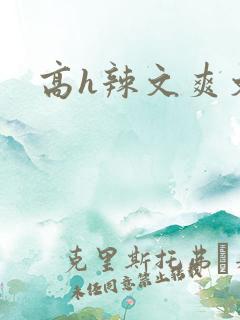 高h辣文爽文