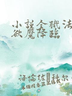 小说全职法师之欲魔降临