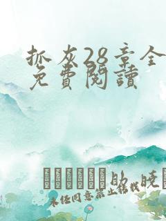 抓灰28章全部免费阅读