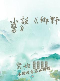 小说《乡野小村医》