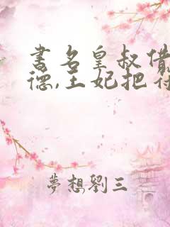 书名皇叔借点功德,王妃把符画猛了