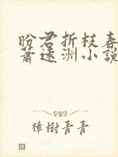 盼君折枝春满归萧远洲小说免费阅读