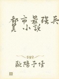 都市最强兵王叶昊 小说
