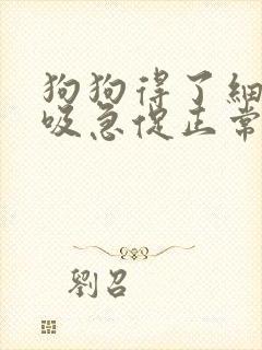 狗狗得了细小呼吸急促正常吗