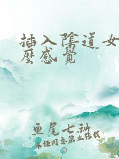 插入阴道女人什么感觉