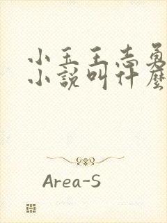 小玉王志勇原著小说叫什么名字