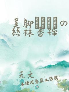 美脚パンストの丝袜番号
