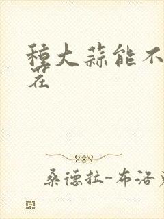 种大蒜能不能重茬