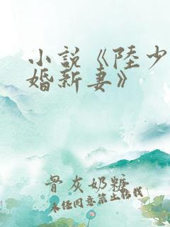 小说《陆少的暖婚新妻》