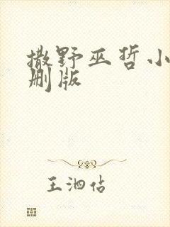 撒野巫哲小说未删版