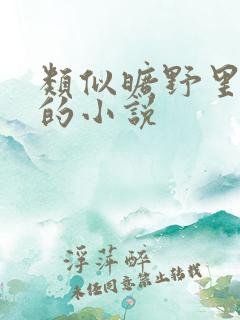类似旷野里的星的小说