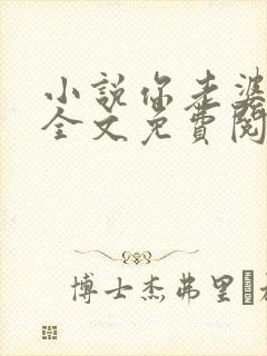 小说你老婆掉了全文免费阅读