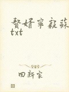 赘婿宁毅苏檀儿txt