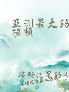 亚洲最大的欧美视频