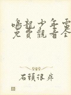 鸣龙少年电视剧免费观看全集高清