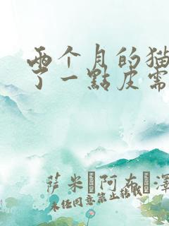 两个月的猫抓破了一点皮需要打狂犬疫苗吗