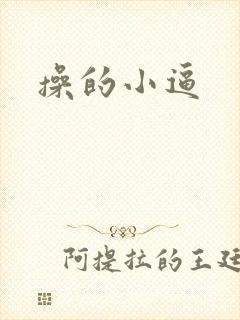 操的小逼