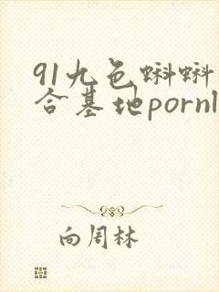 91九色蝌蚪综合基地pornl