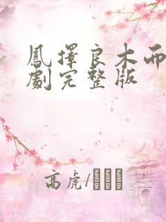 凤择良木而栖短剧完整版