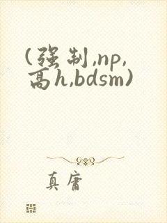 (强制,np,高h,bdsm)