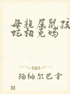 母亲属鼠孩子属蛇相克吗