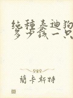 纯种泰迪狗价格多少钱一只