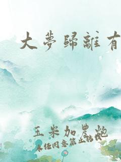 大梦归离有几集