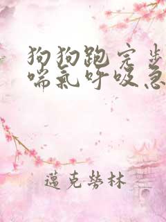 狗狗跑完步一直喘气呼吸急促