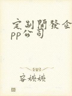 定制开发企业app公司